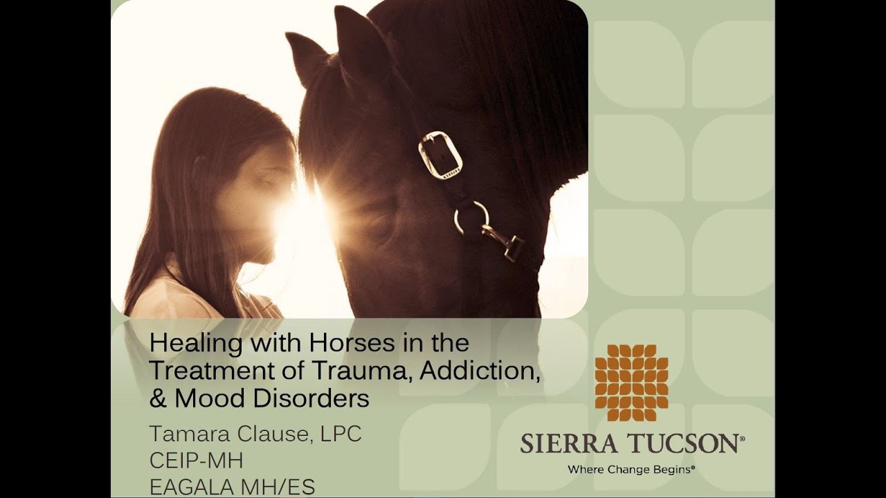 Healing with Horses in the Treatment of Trauma, Addiction & Mood Disorders