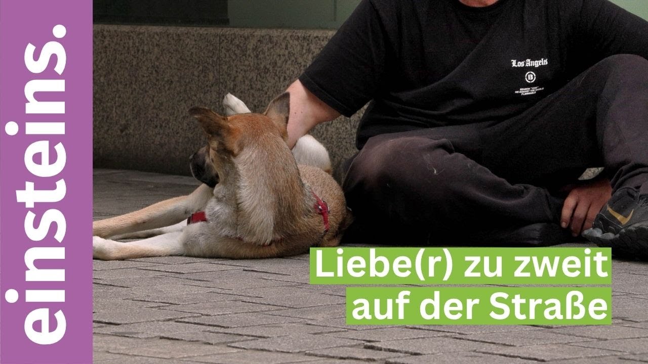 Liebe(r) zu zweit auf der Straße  -  Einsteins 2025