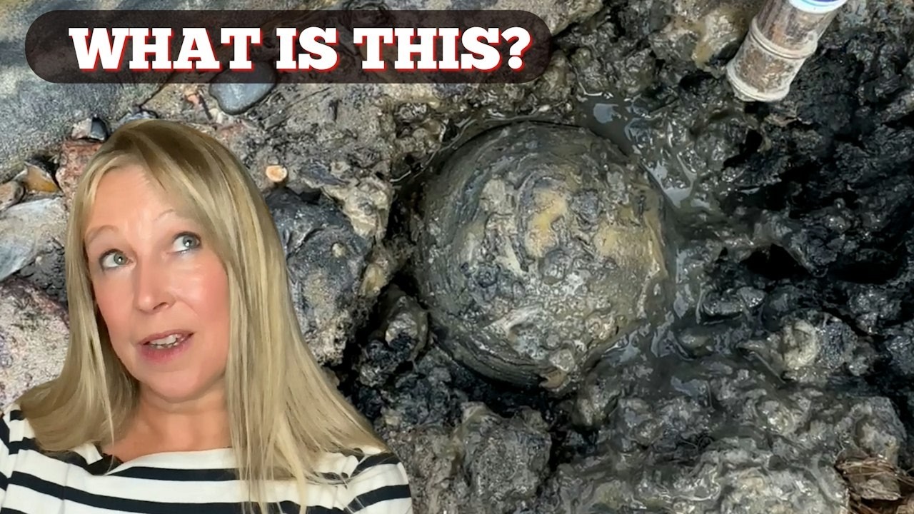 The Thames Gave Up Its Strangest Secret Yet!