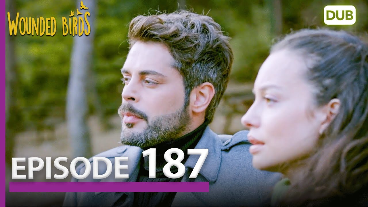 Wounded Birds Episode 187 - Urdu Dubbed | Turkish Drama