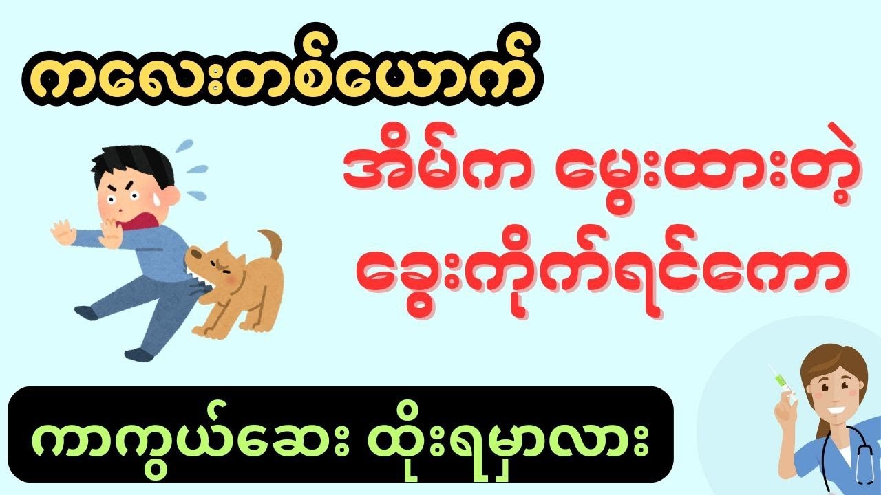 ကလေးတစ်ယောက် အိမ်က မွေးထားတဲ့ ခွေးကိုက်ရင်ကော ကာကွယ်‌ဆေး ထိုးရမှာလား-dog bite