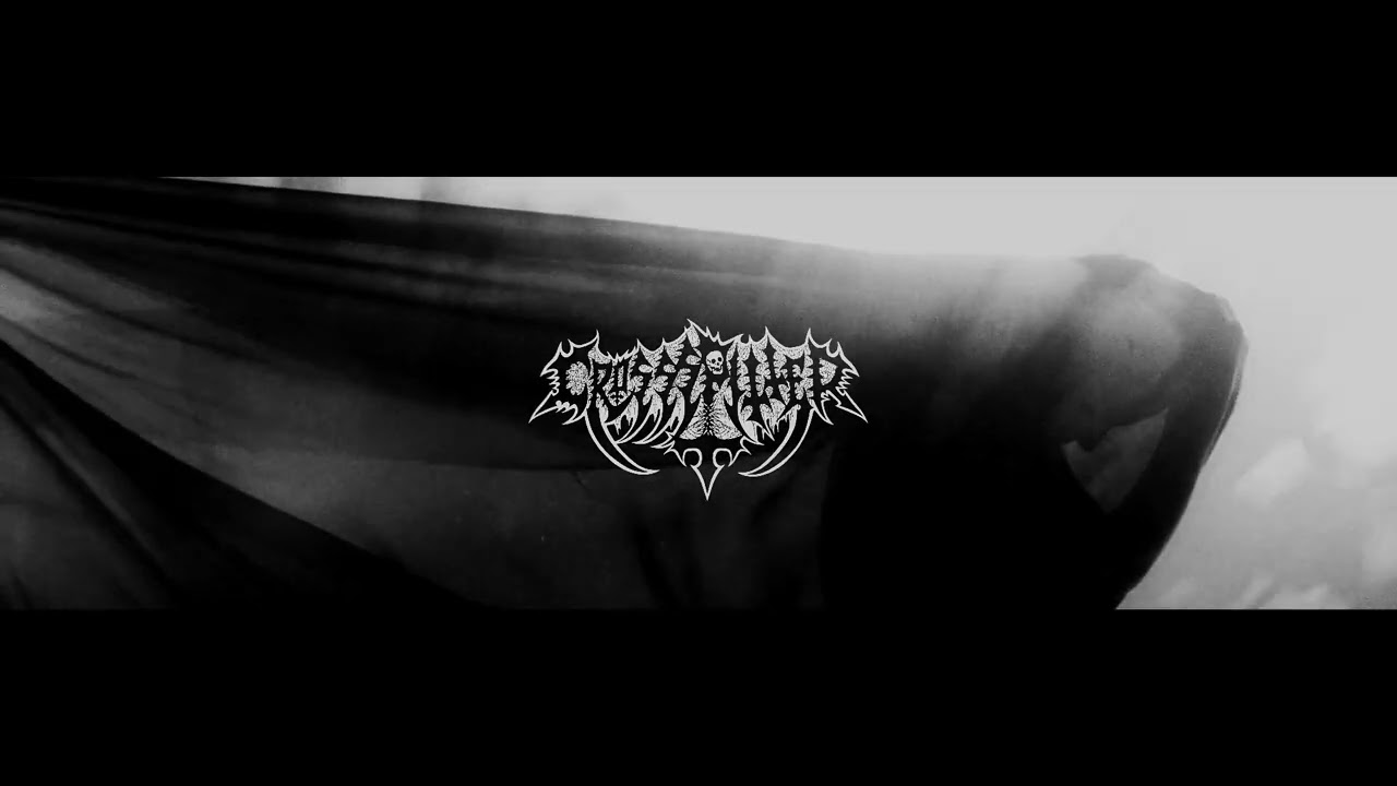 NORTHWEST TERROR FEST | 2023 Band Announcements