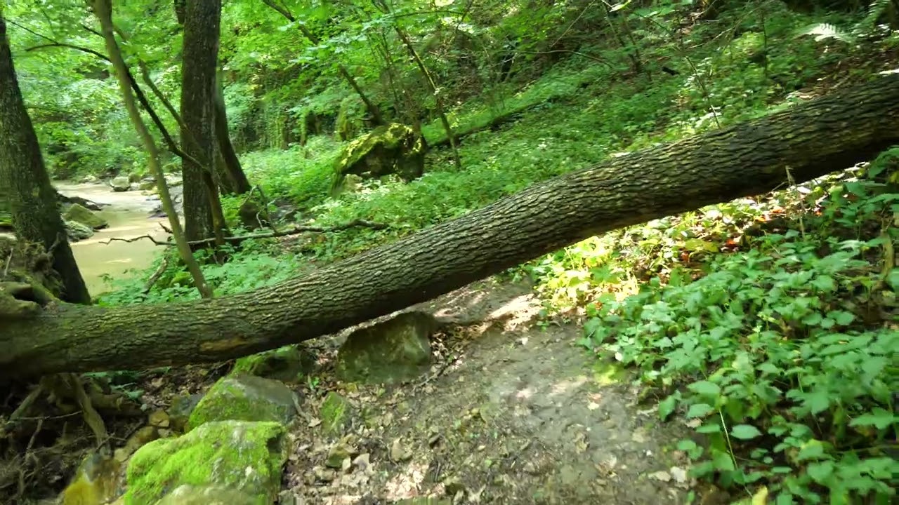 Bakancslista I.  2022 Cuha patak, Gaja patak,  Rómaifürdő esőzés után