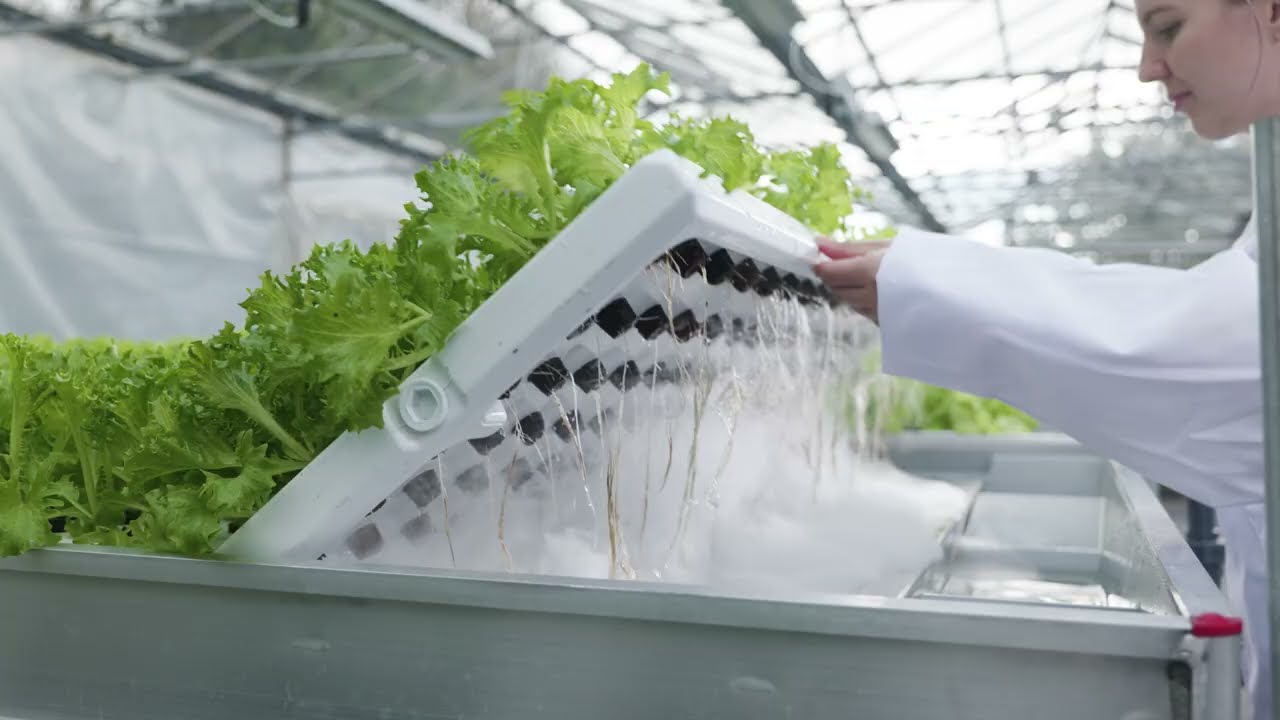 The aeroponic advantage: LettUs Grow's Aeroponic Rolling Benches™