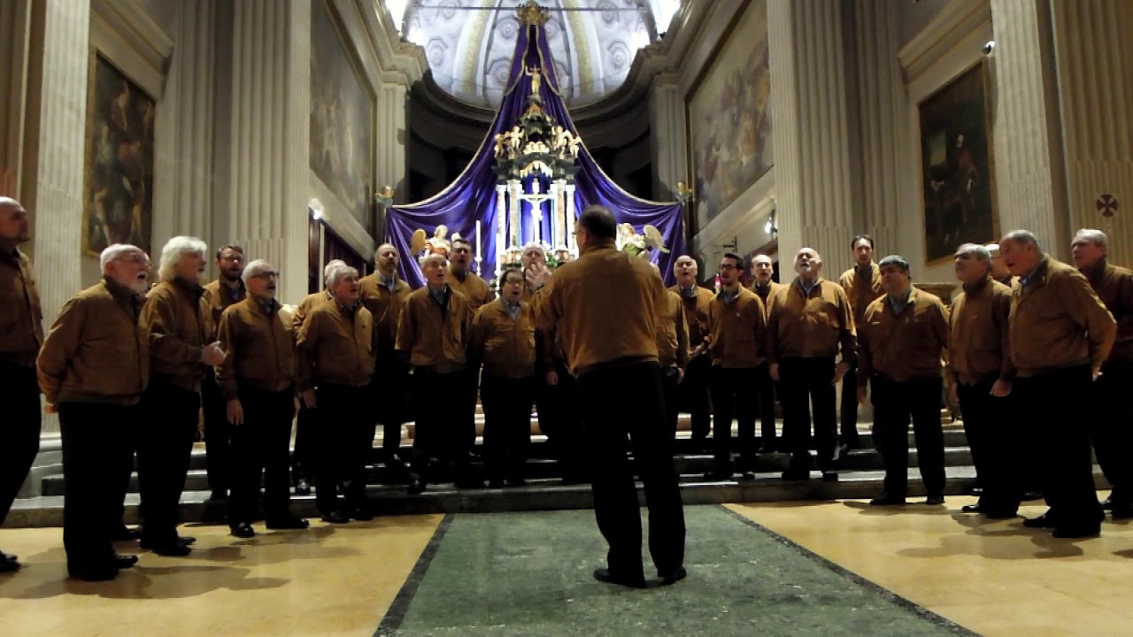 Notte Santa (Bepi de Marzi) - Coro Amici della Montagna - Dir.Raffaele Ceriani