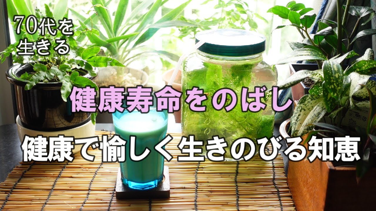 【70代を生きるNo.78】健康で愉しく長生きをする／老化防止の食品と食事／後期高齢者医療保険料の通知が届く