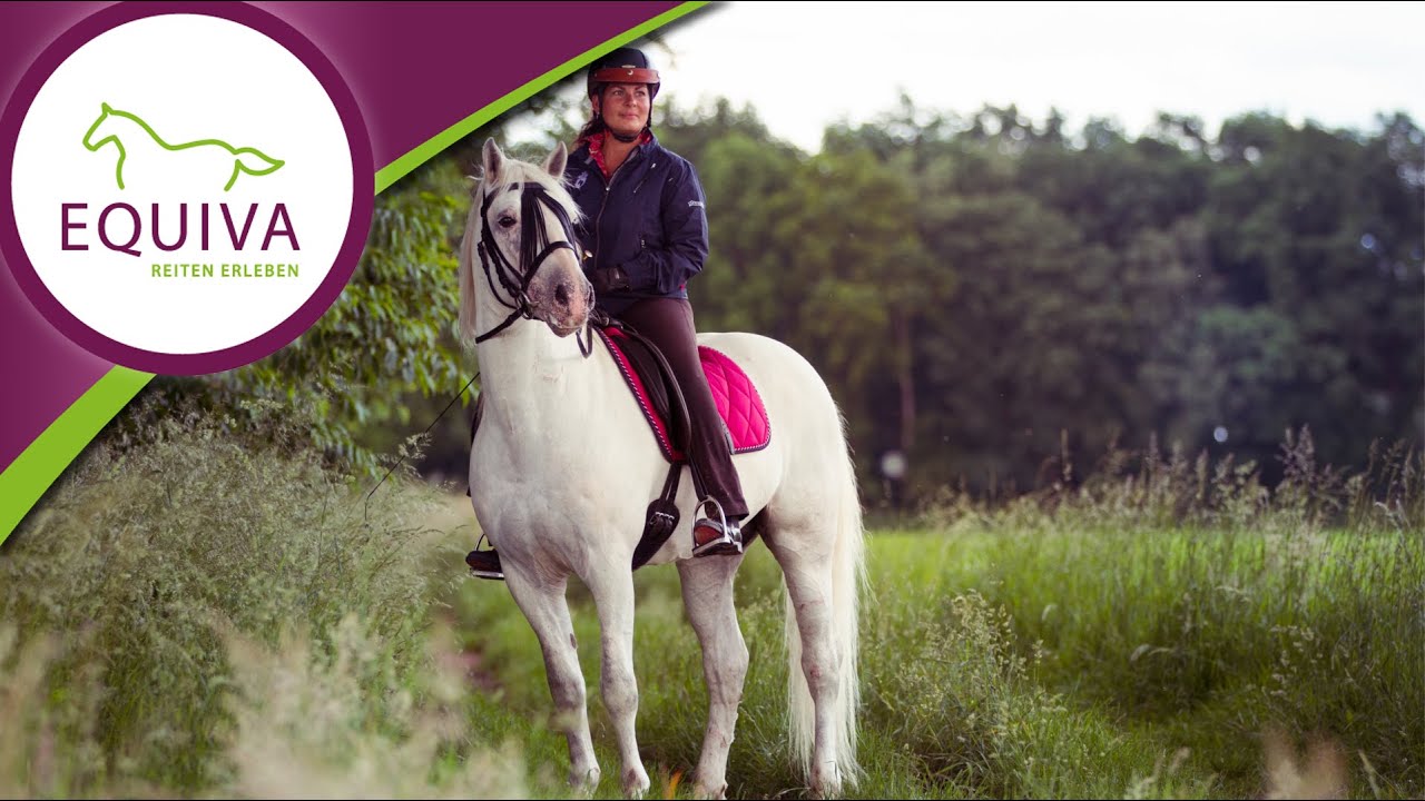 Rasseportrait: Das Camargue-Pferd