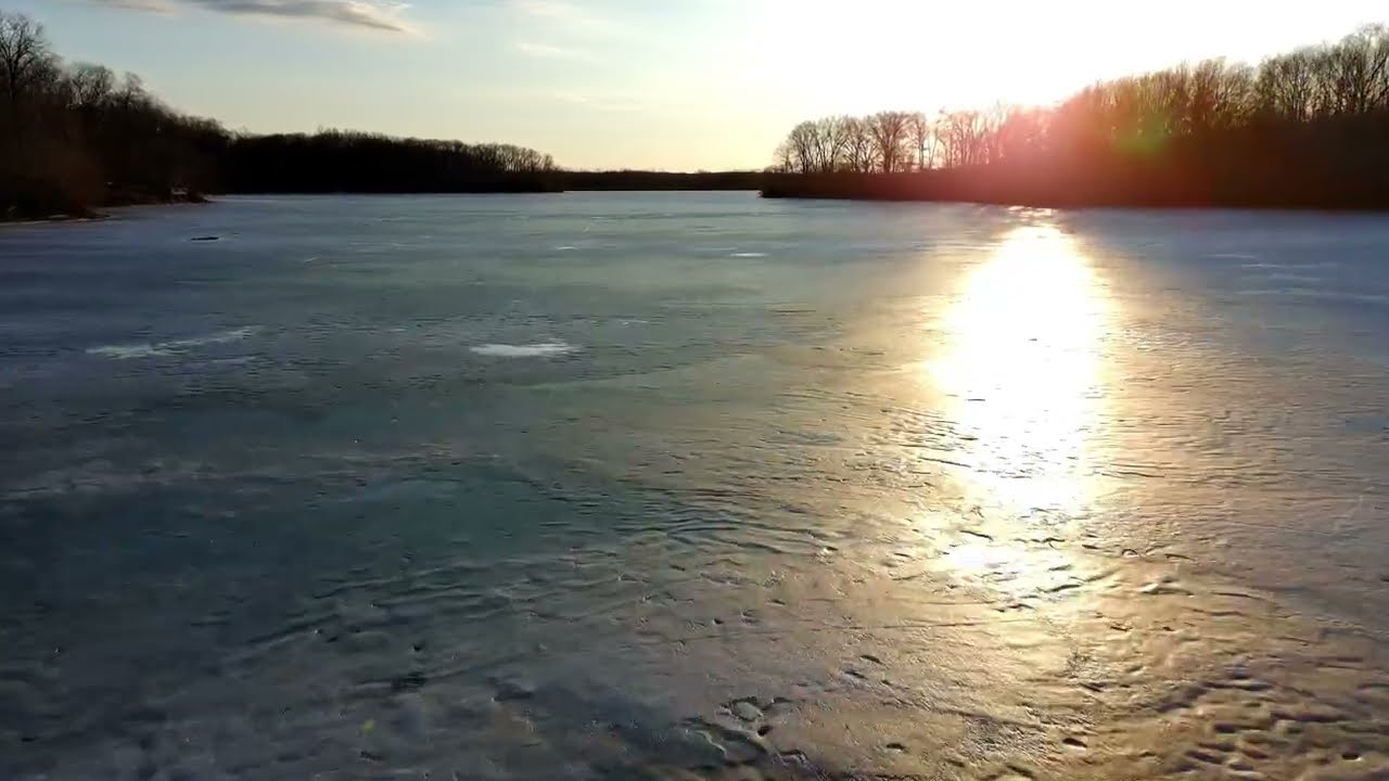 Frozen flight at Lake Mingo