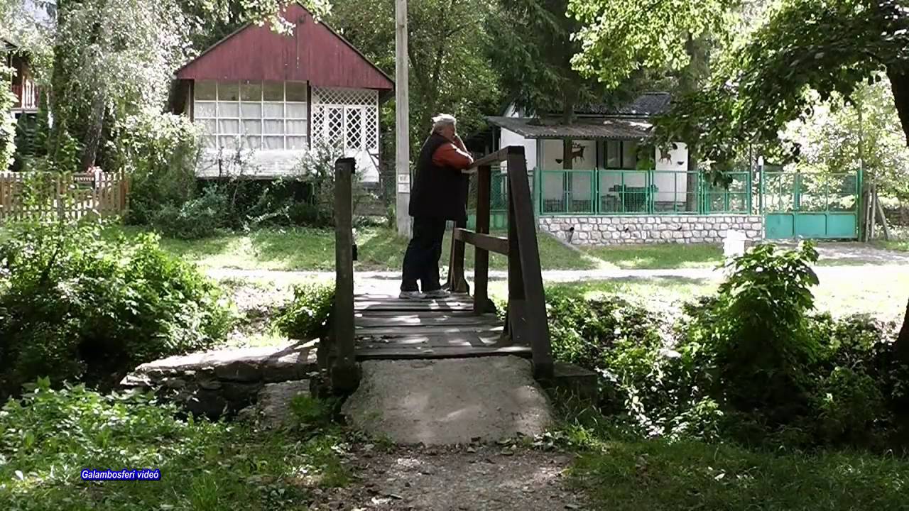 Gondolatok a tóparton – Lak-völgyi tó.  /Relaxation/