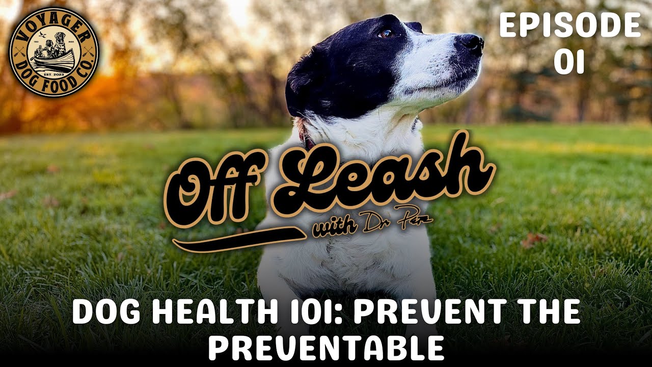 Prevent the Preventable