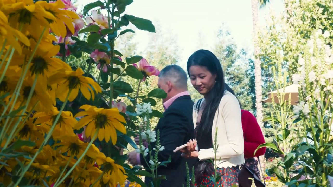 Appellation Lodi - Wine & Roses Resort and Spa
