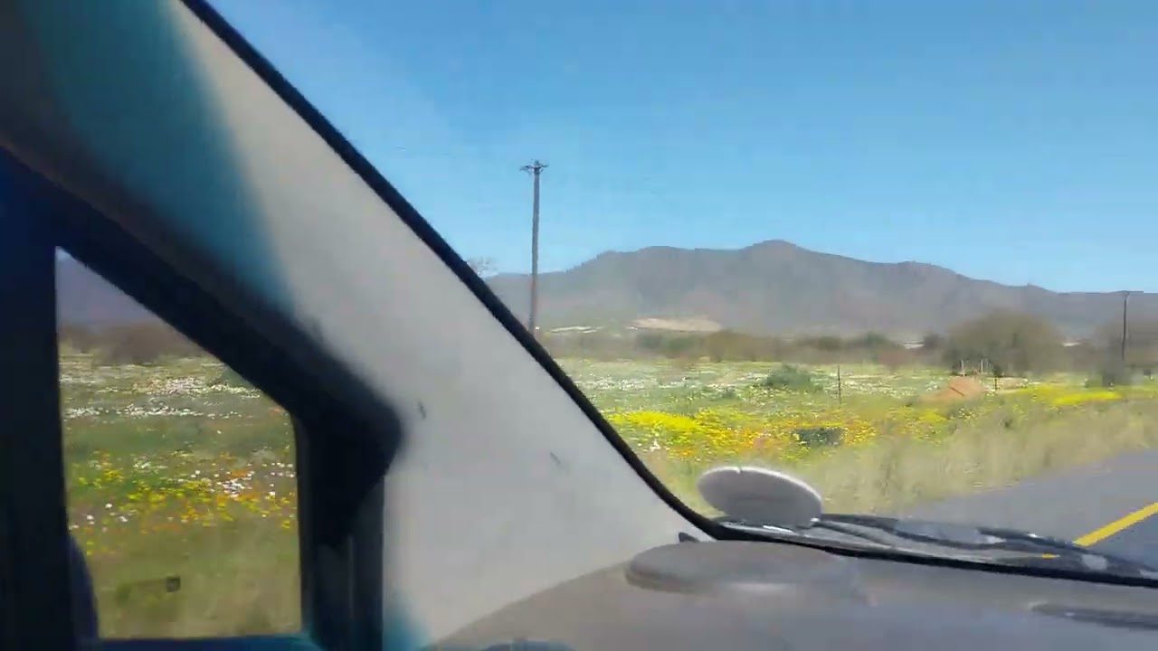 Baie mooi blomme rondom Bagdad Cafe Knersvlakte 23 Augustus 2024