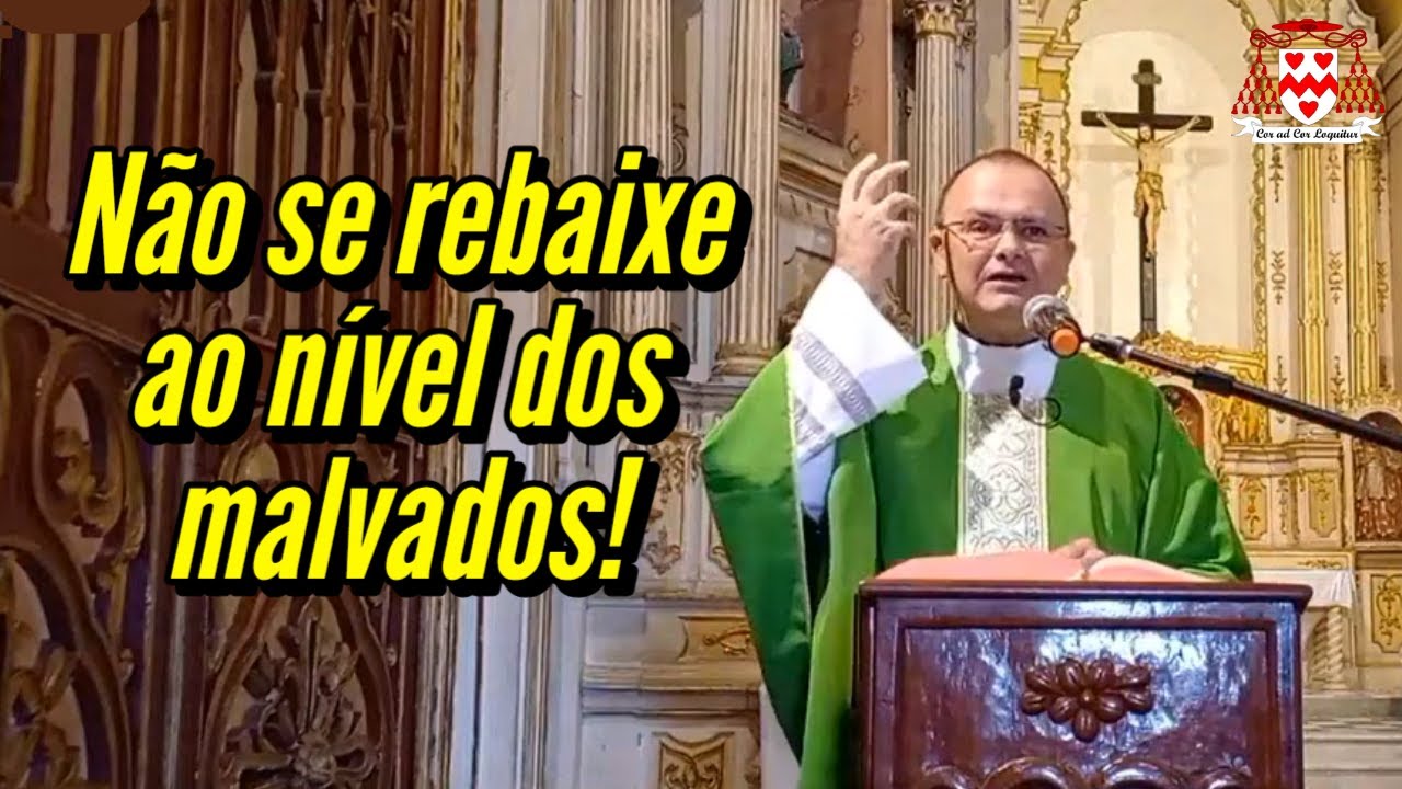 “Quando não nos rebaixamos ao nível dos malvados, querendo ou não, nós sofremos” (Padre Francisco)