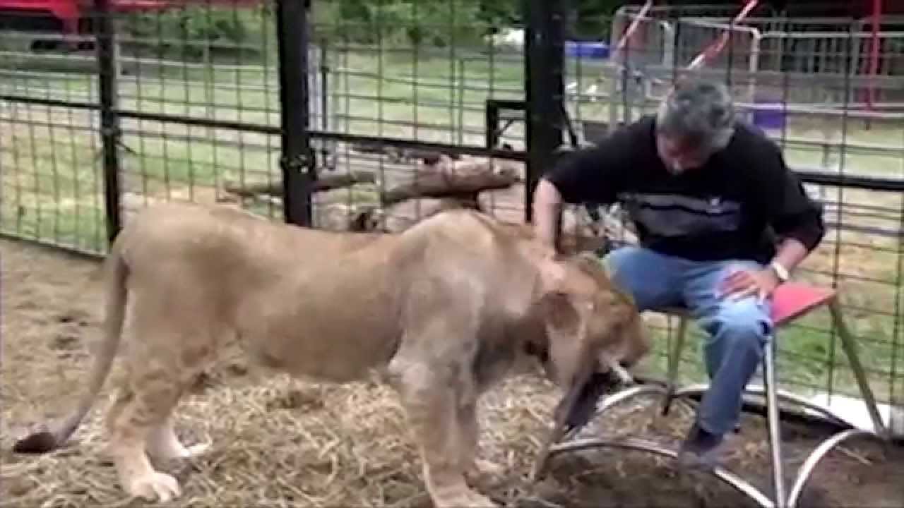 Dean Devlin shares a moment with Flyboys star, Shaka the Lion.
