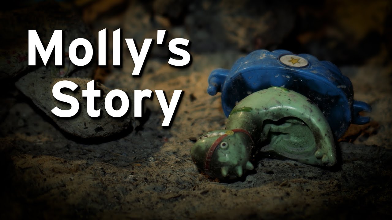 Molly's Story - Fire Safety Documentary