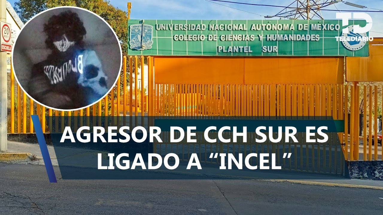 Qu&eacute; es 'incel' y por qu&eacute; estar&iacute;a relacionado con Lex Ashton, agresor de alumno del CCH Sur