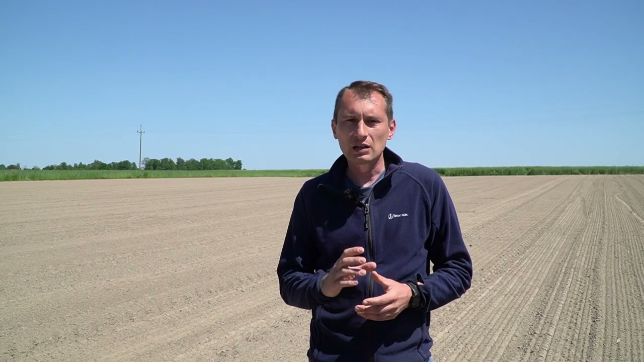 Przygotowanie gleby przed sadzeniem truskawek