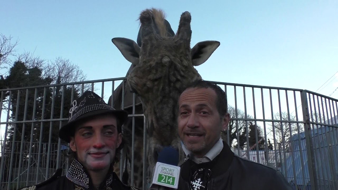 Il Circo Imperial Royal: un sorriso per tutti