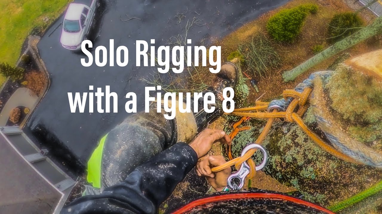 Climbing Arborist Working Solo in Louisville