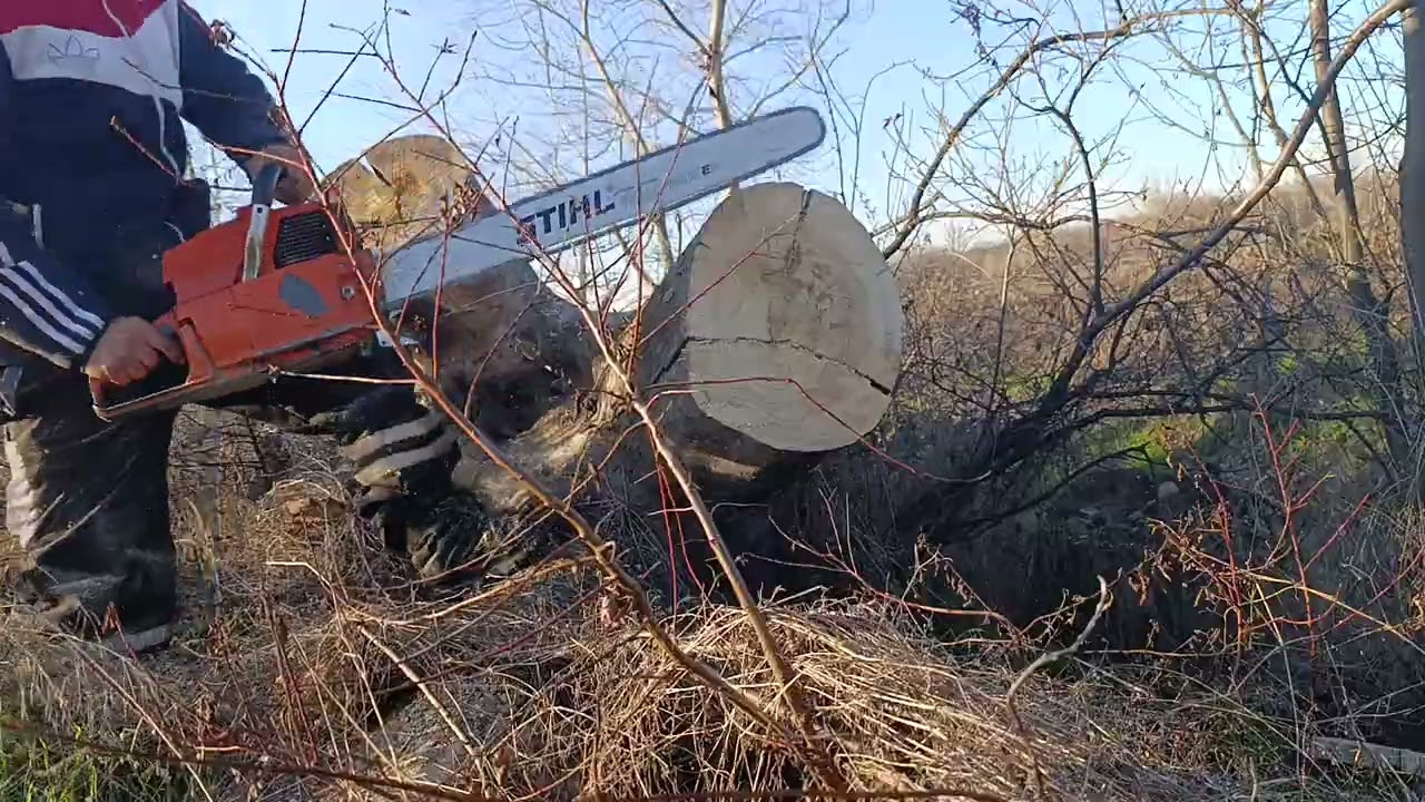 Husqvarna 298XP small test