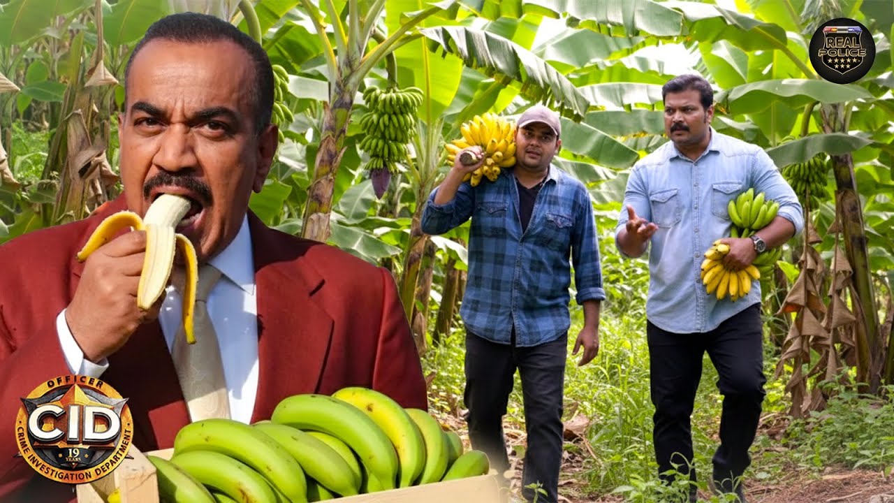 जब दया ने अपने गांव से ACP प्रद्युमन के लिए लाए इलायची केले! | Best Of CID | New Episode 2025