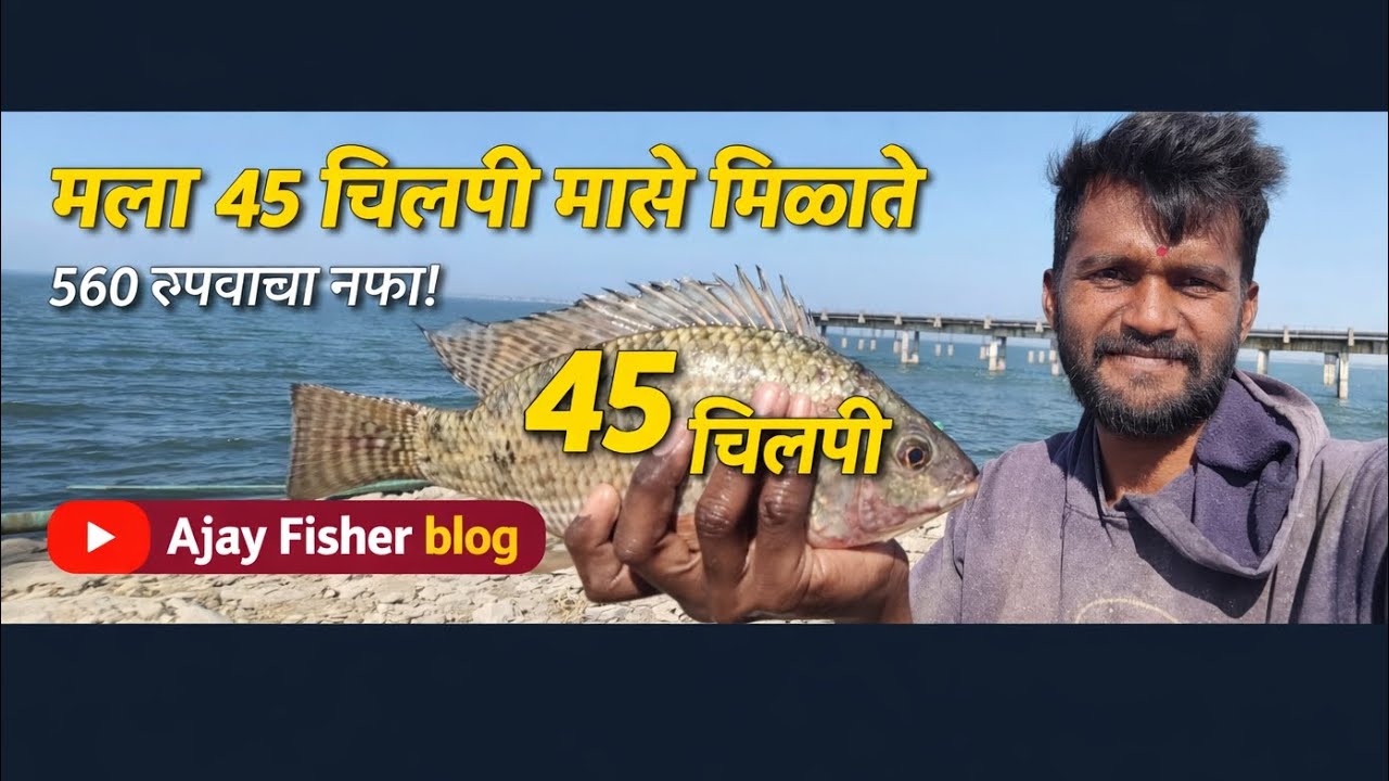 😱 एकाच दिवशी 45 चिलपी मच्छली पकडल्या | आजचा नफा ₹560 | Ajay Fishing Blog 🎣 #fishing @Ajay_Fihser 