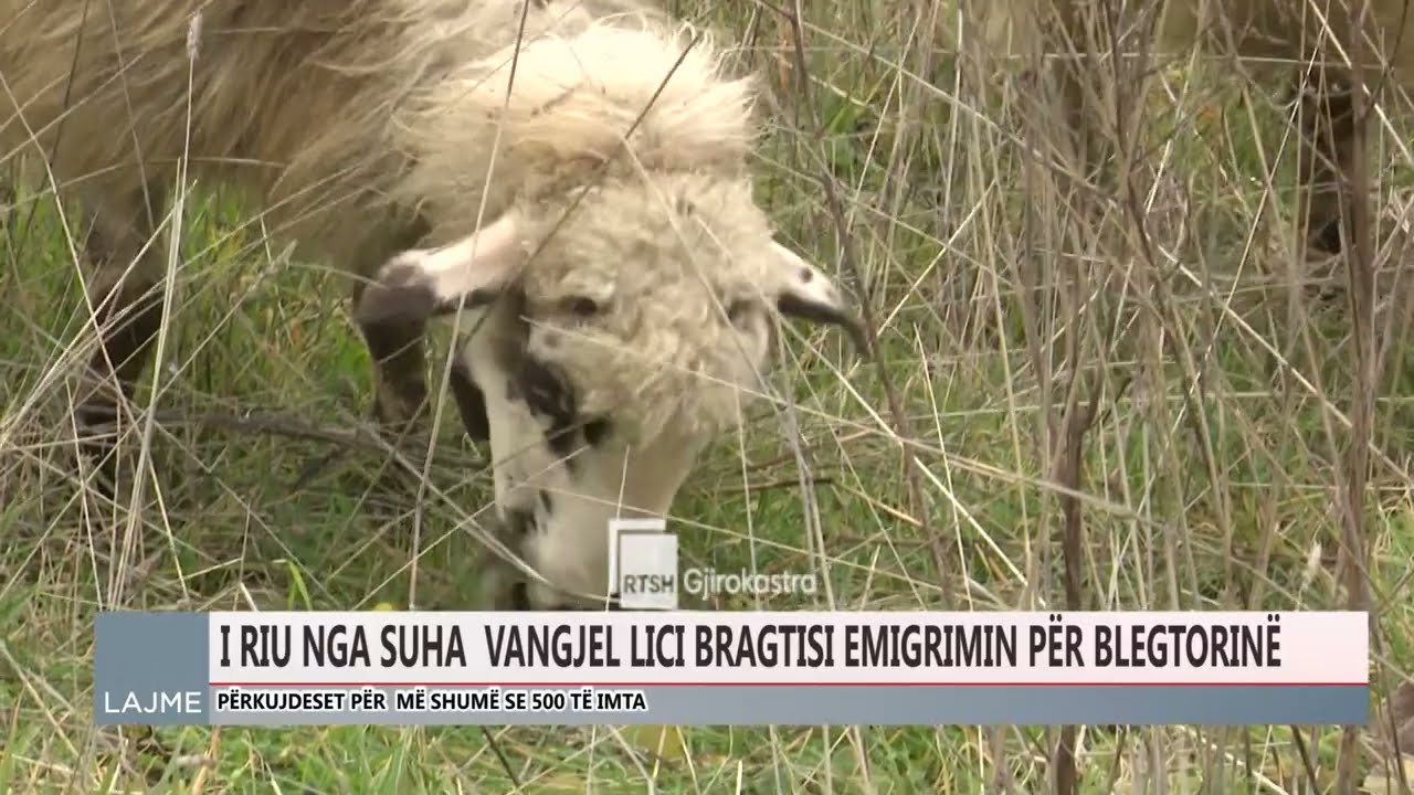 BLEGTORIA &ldquo;KTHEN&rdquo; T&Euml; RINJT&Euml; E LIBOHOV&Euml;S NGA EMIGRIMI