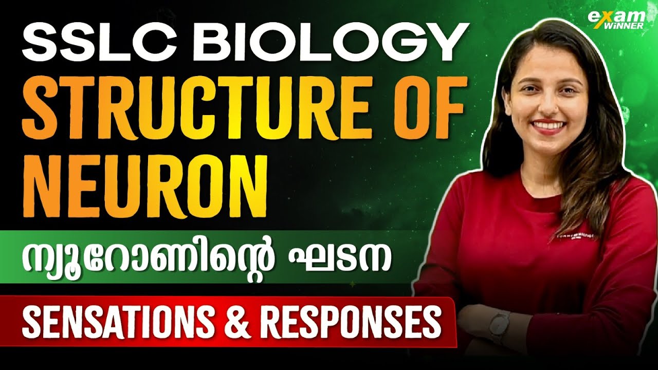 SSLC Biology | Chapter 1 | Sensations and Responses Part 2 | Structure of Neuron(ന്യൂറോണിന്റെ ഘടന )