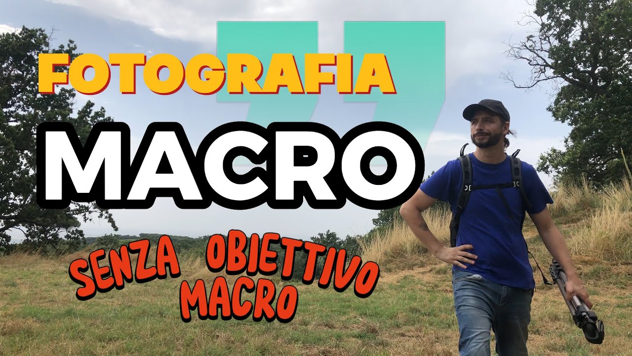 Fotografare farfalle e insetti senza obiettivi macro - fotografia naturalistica per principianti
