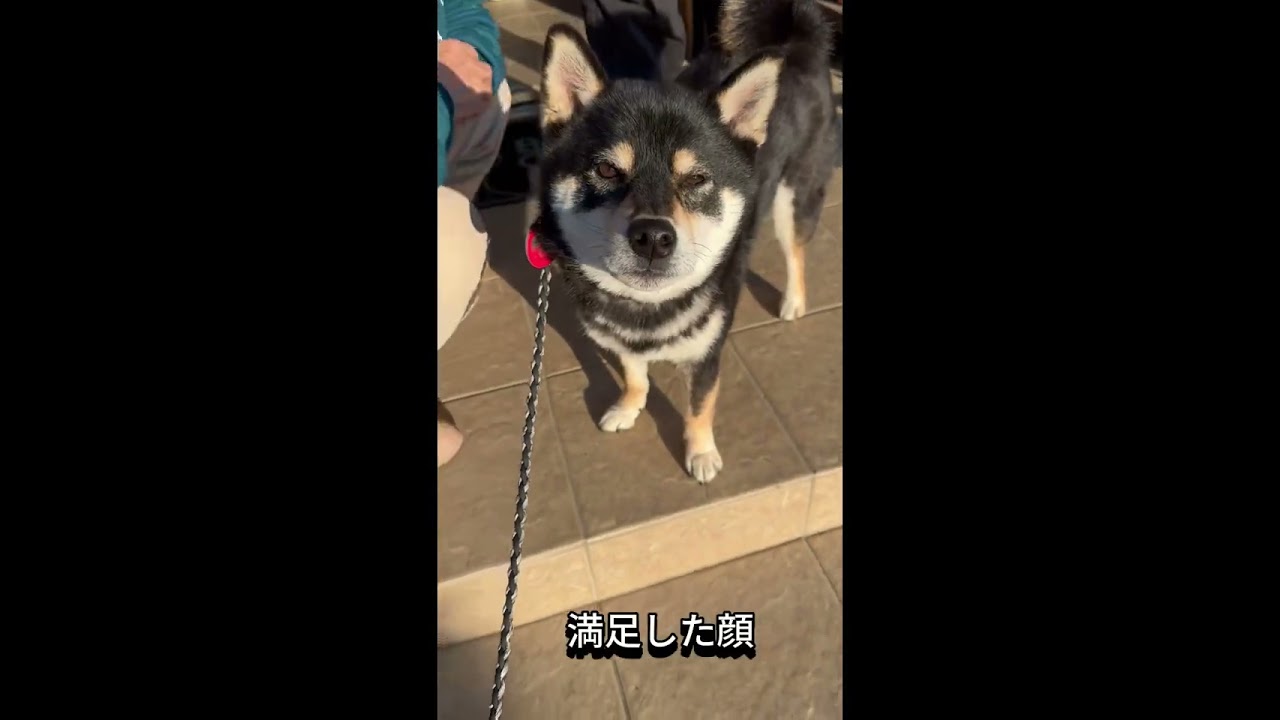 休みの朝散歩