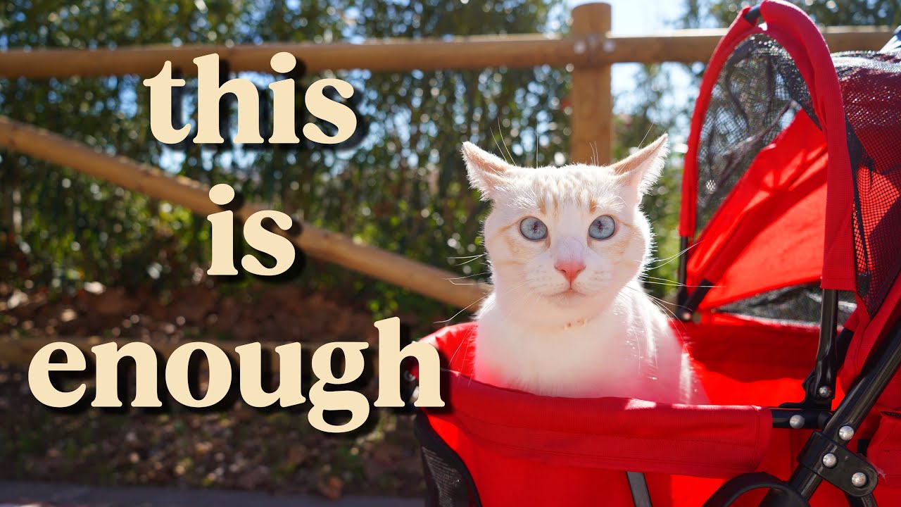 I Don’t Have Energy Anymore (And I’m Okay With It) | Cozy Slow Living