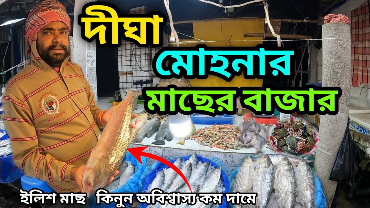 Digha Fish Market 2025 | Digha Mohona | Fish Market Digha Mohona | Digha Wholsale Fish Market |