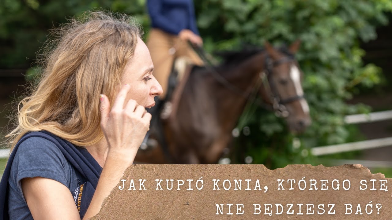 Jak kupić konia, którego się nie będziesz bać?