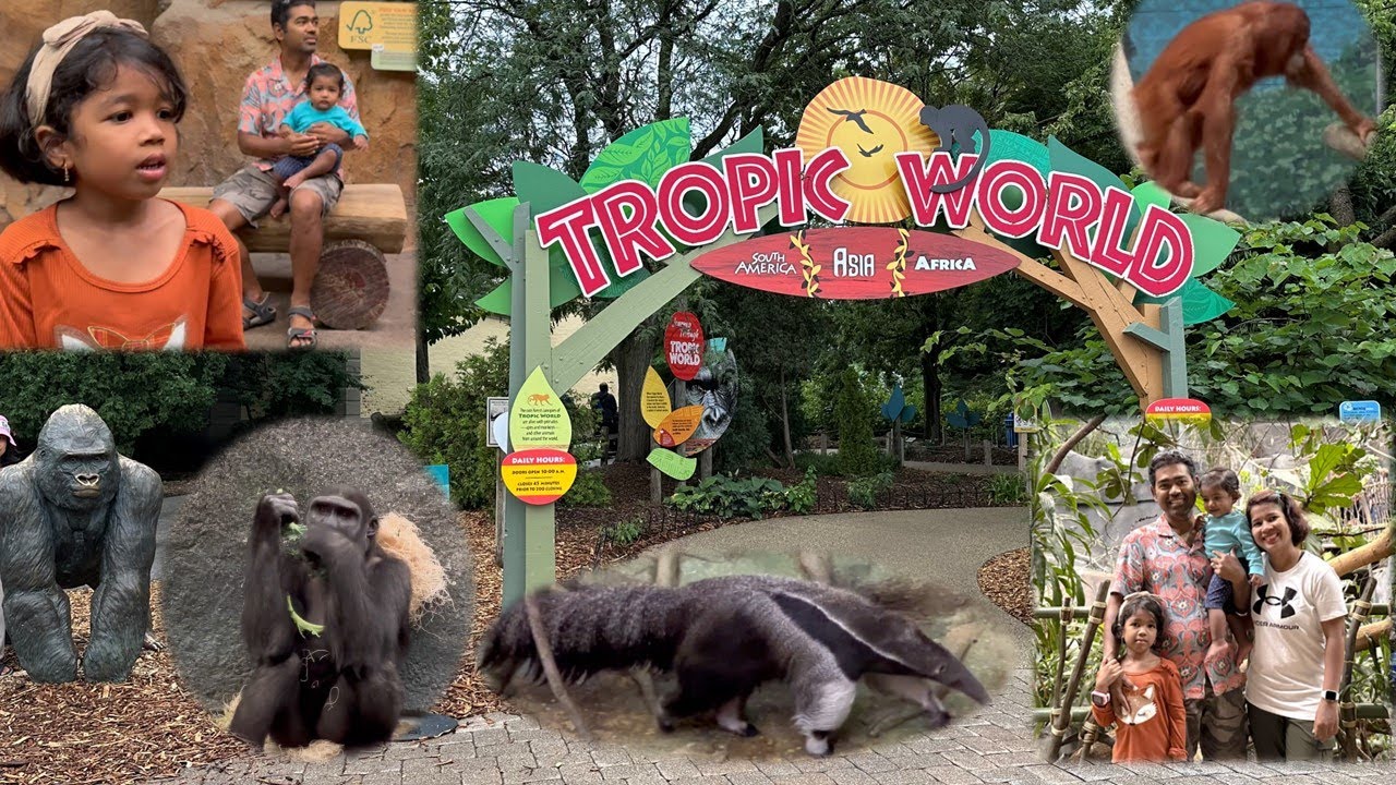Tropic World (South America ,Asia ,Africa) at Brookfield Zoo Chicago |Brookfield Zoo visit part 3 ​