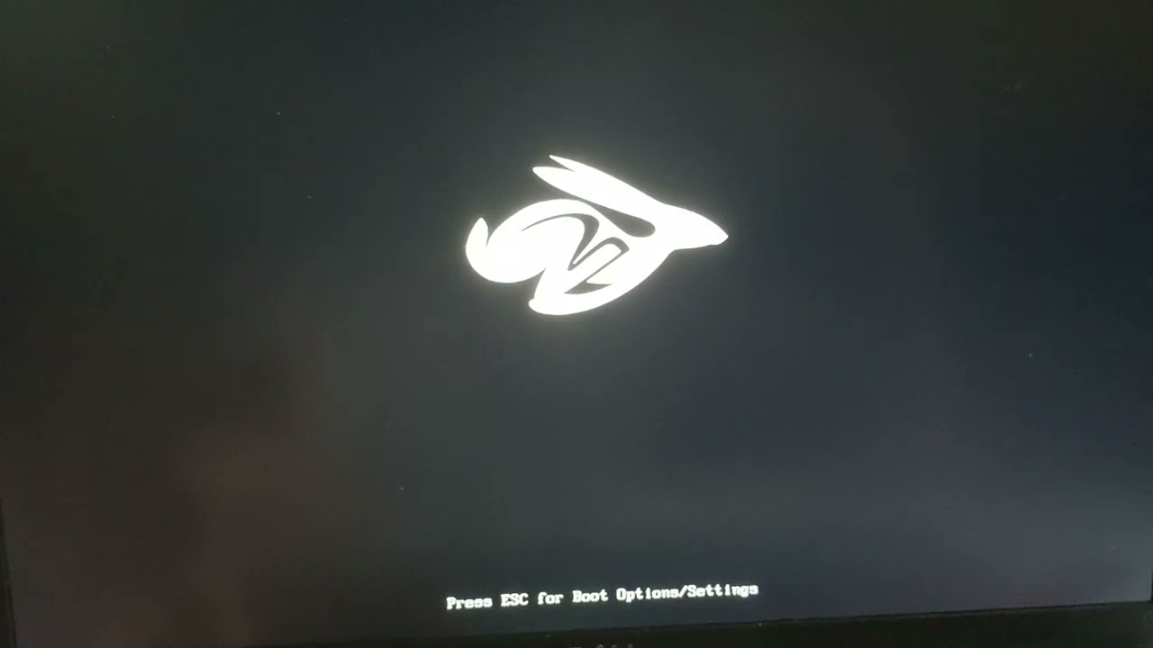 Dell Chromebook 5400. Менеджер загрузки Sarien не загружает USB-накопитель. Загрузка с USB-накопи...