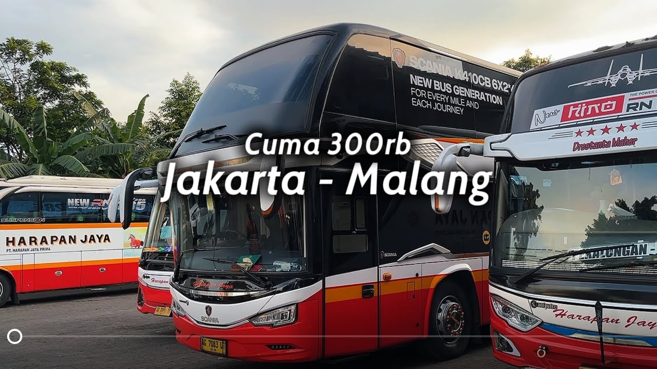 REKOMENDASI BUS JAKARTA - MALANG CUMA 300 RIBUAN AJA