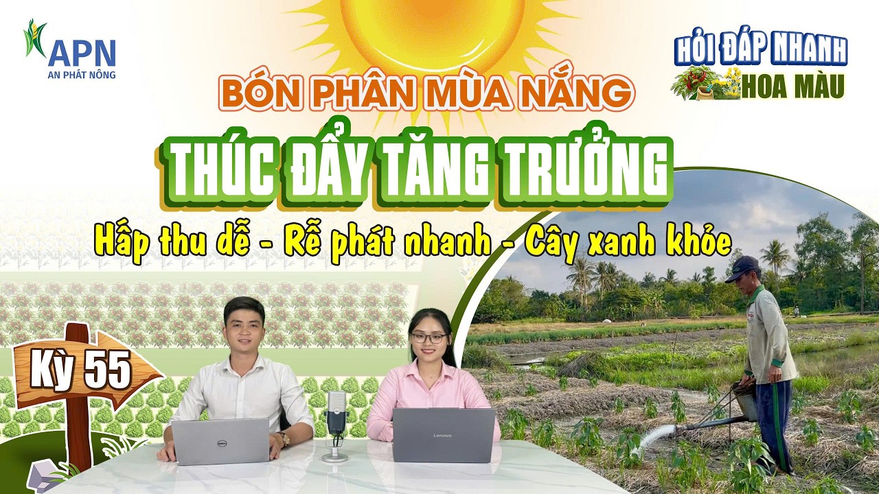APN - KỸ THUẬT BÓN PHÂN ĐÚNG CHO RAU MÀU MÙA NẮNG NÓNG