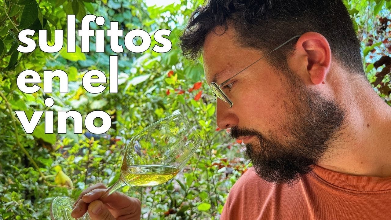 Lo que NO te contaron sobre los SULFITOS 🍷