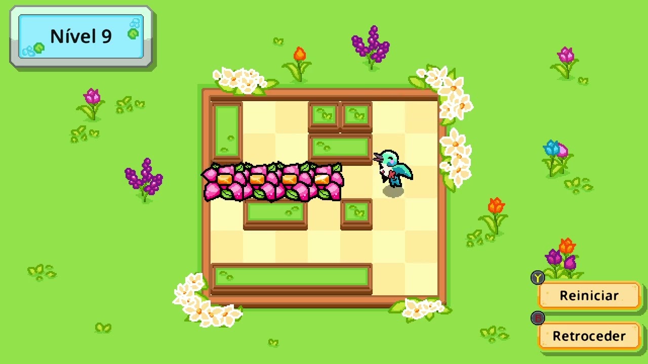 Hummingbird Garden - 2000g
