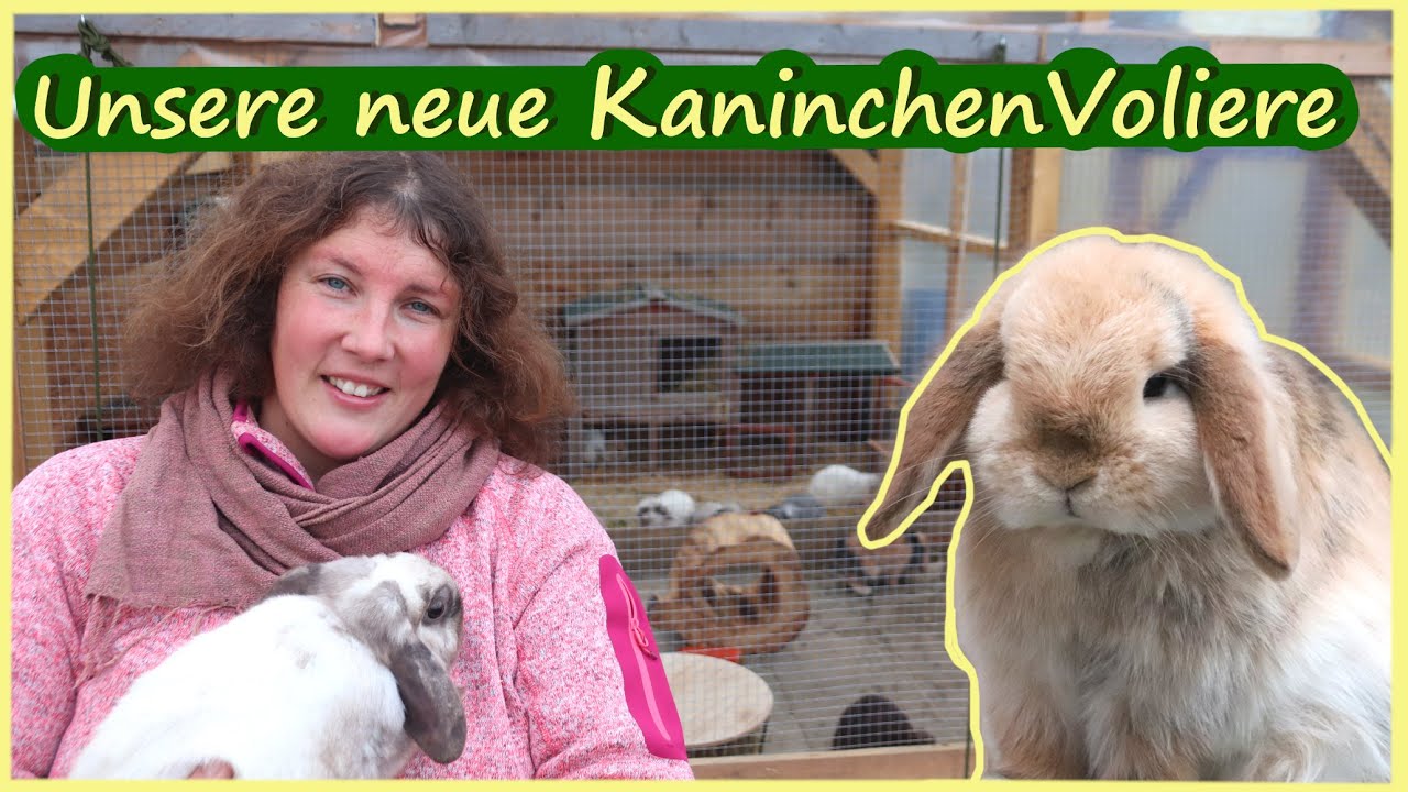 Unsere neue Kaninchenvoliere bauen & Kaninchenvergesellschaftung