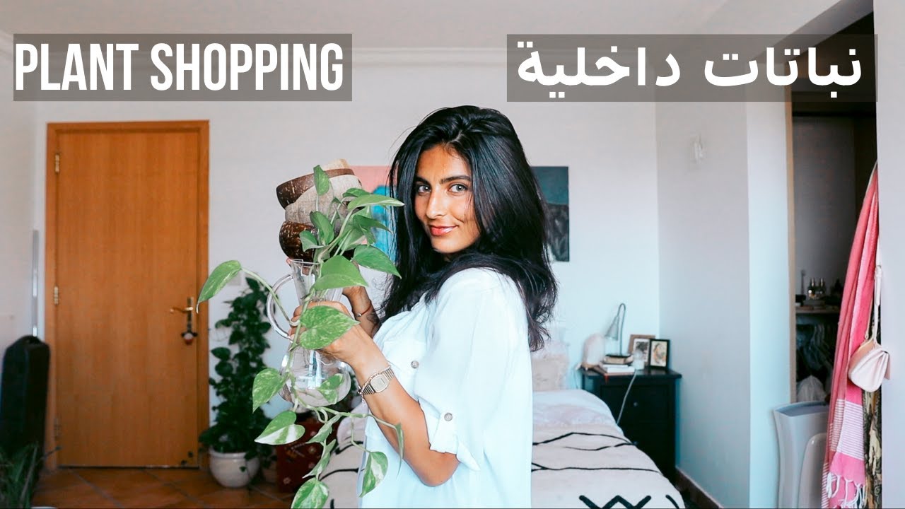 Go Plant Shopping with Me |  كل ماتحتاج معرفته عن النباتات الداخلية