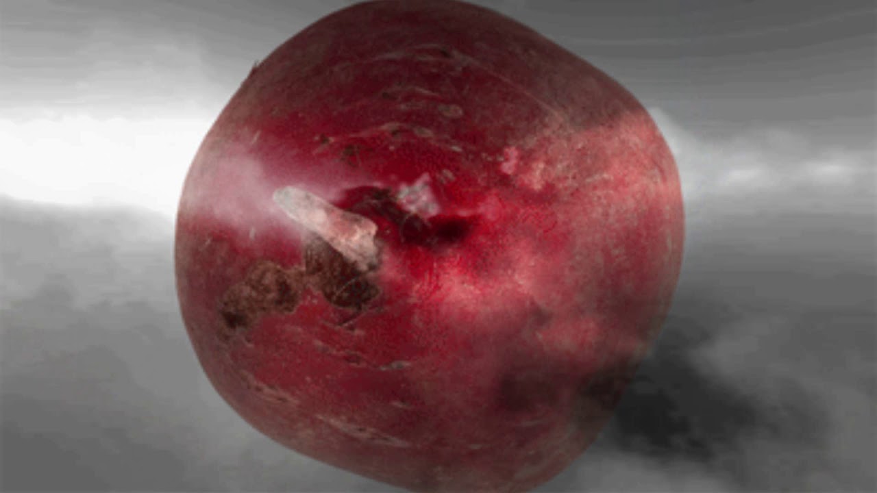 [CreepypastaCZ] Konzumuji + V nicotě w/Catamurloc