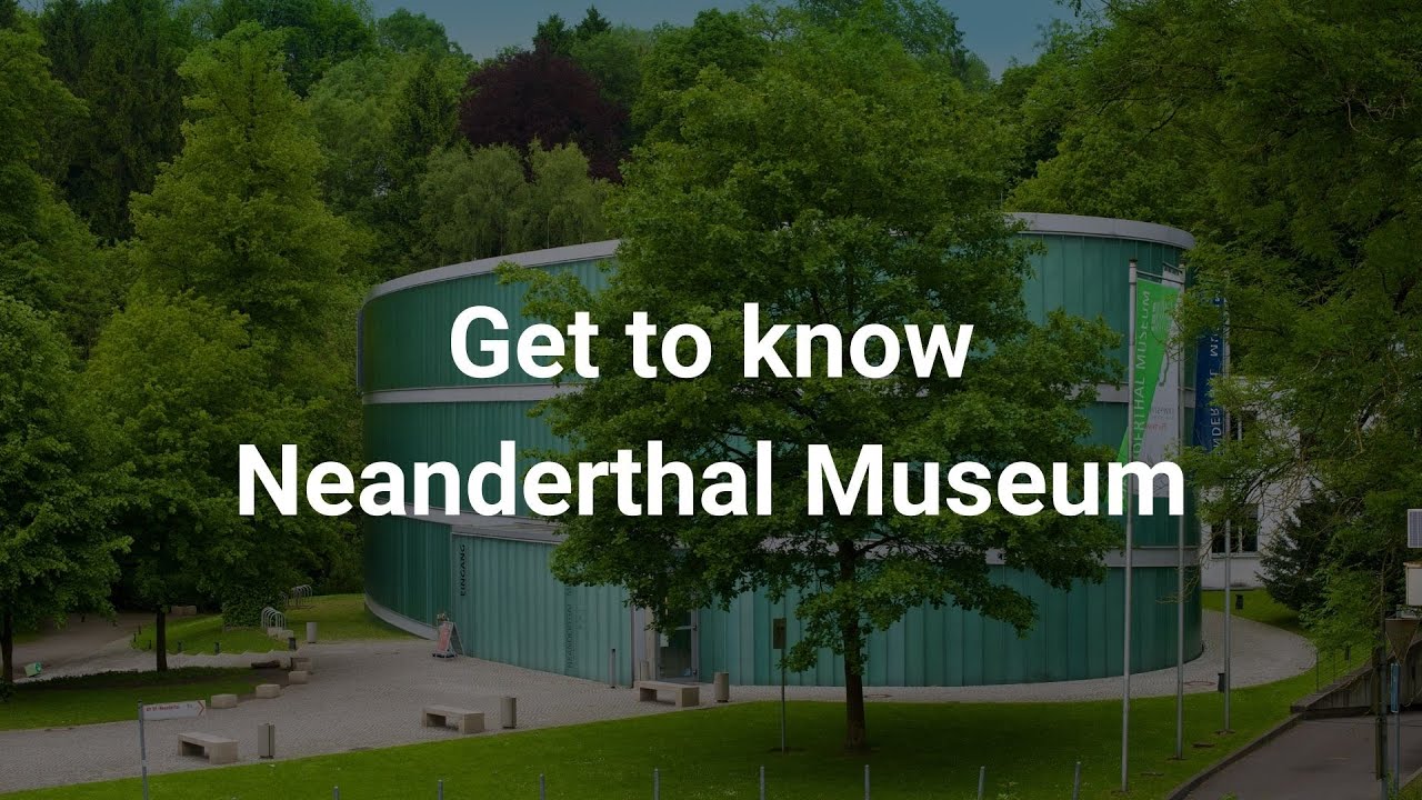 Get to know Neanderthal Museum