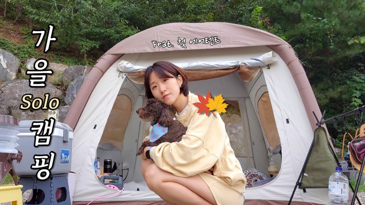 10만원대 에어텐트로 강아지와 가을캠핑 feat.폭우 ☔️⛈️/솔로캠핑/NH앙고텐트/애견동반캠핑/우중캠핑/Sub