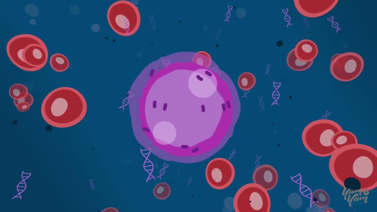 Natera 02 | Explainer Video by Yum Yum Videos
