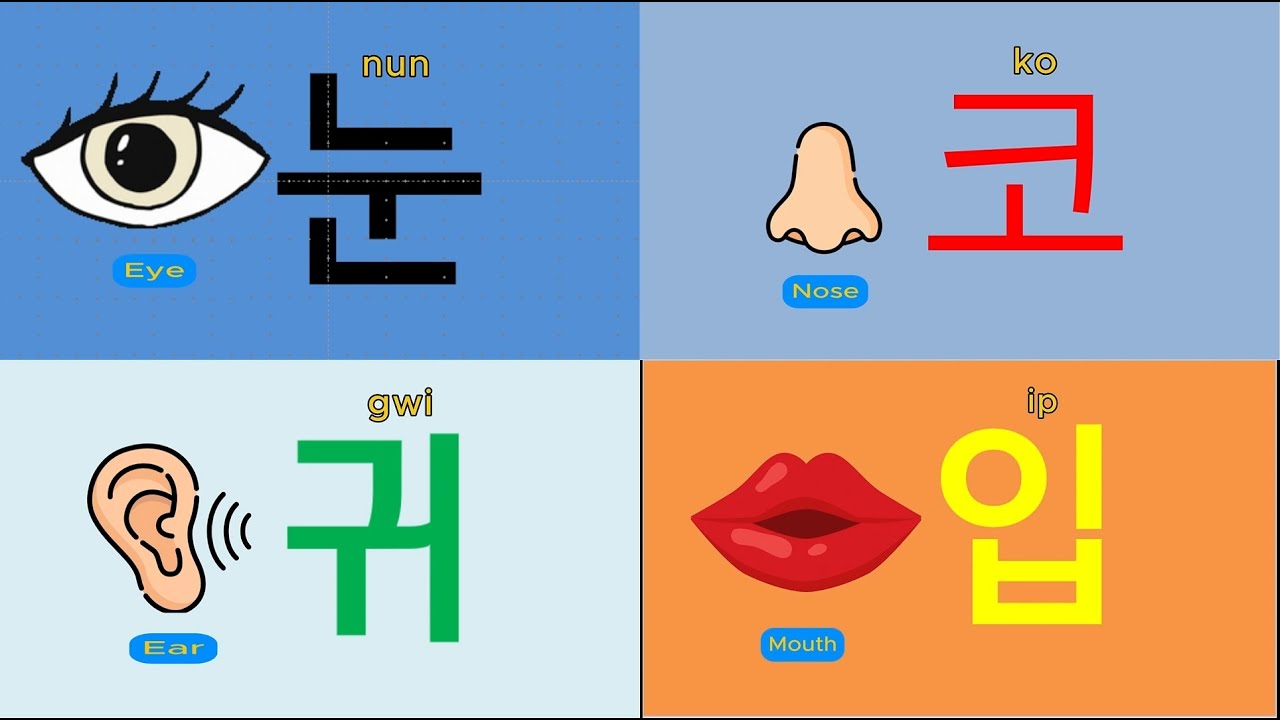 Eight one - syllable words   //  TOPIK Basic Lessons  (New Ver.) 30