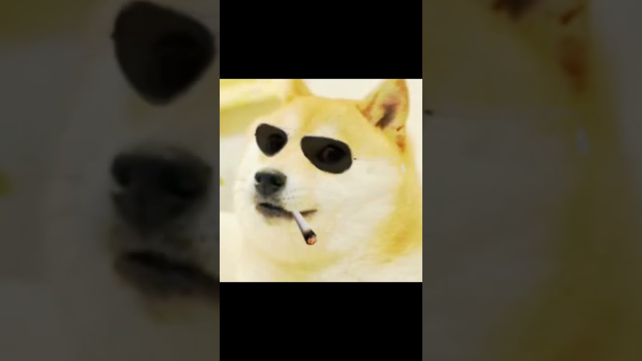 small practice edit (RIP doge) #viral #therian #doge #rip #edit