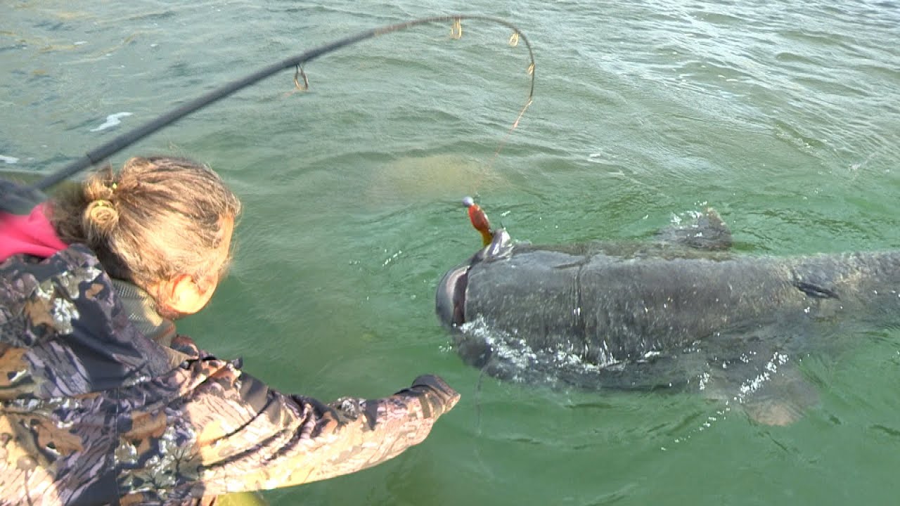 Pecanje ogromnih somova na reci Ebro u Spaniji 2 | Fishing big catfish in Ebro Spain 2 FULL VIDEO