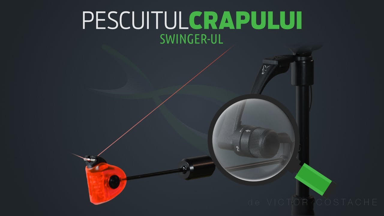Pescuitul crapului | Swinger-ul