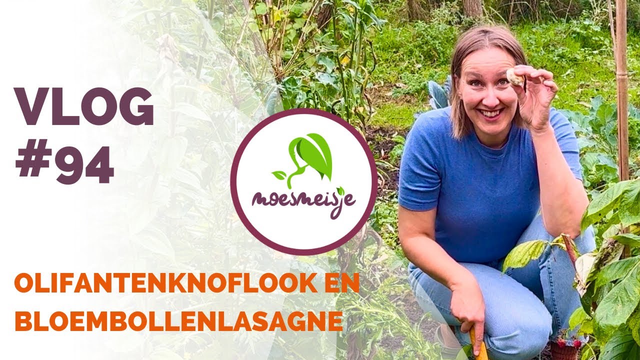 MOESTUINVLOG #94 | Olifantenknoflook planten, bloembollenlasagne maken en update uit de moestuin 🧄🌷🌱